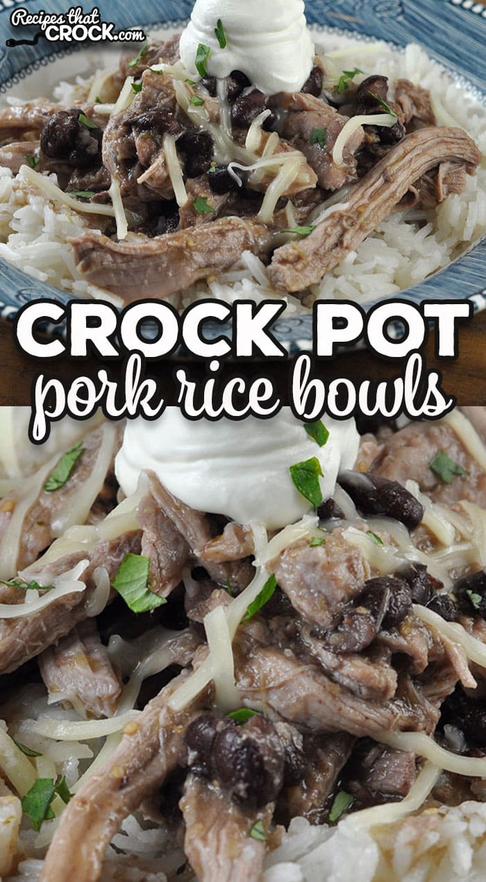 This Pork Crock Pot Rice Bowl recipe is a dump and go recipe that is delicious and filling. It is an instant crowd pleaser!