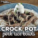 This Pork Crock Pot Rice Bowl recipe is a dump and go recipe that is delicious and filling. It is an instant crowd pleaser!