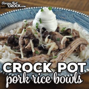 This Pork Crock Pot Rice Bowl recipe is a dump and go recipe that is delicious and filling. It is an instant crowd pleaser!