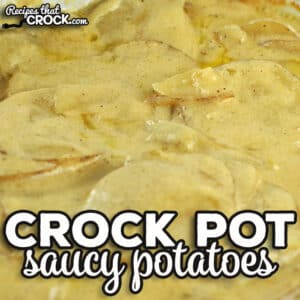 These simple Crock Pot Saucy Potatoes are so tasty. They are a favorite around my house, and I bet at yours too!