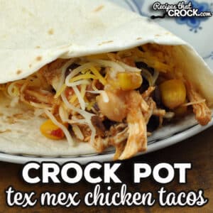 You will not believe how tasty this Tex Mex Crock Pot Chicken Tacos recipe is with how easy it is to throw together!