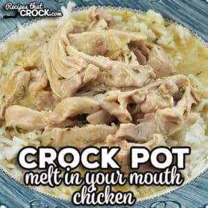 This Melt In Your Mouth Crock Pot Chicken can be thrown together in less than 5 minutes and tastes amazing. I highly recommend it.
