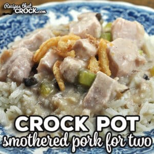 This delicious and easy to make Smothered Crock Pot Pork for Two recipe is ultimate comfort food that cooks up quickly.