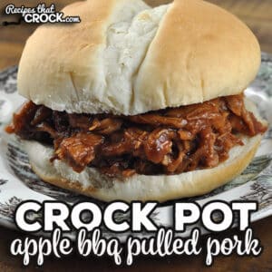 This dump and go recipe for Apple BBQ Crock Pot Pulled Pork is delicious as it is easy. It is great for feeding a crowd or freezing some for later!