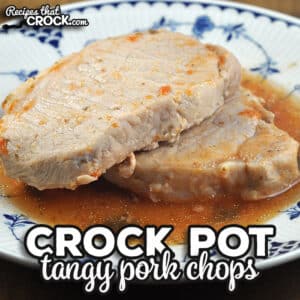 If you are looking for a deliciously tangy main dish, I highly recommend this Crock Pot Tangy Pork Chops recipe.