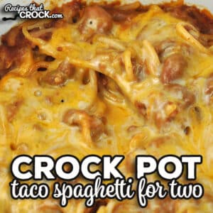 Tired of the same ol' same ol' with spaghetti? Check out this Crock Pot Taco Spaghetti for Two recipe. It is so flavorful and delicious.