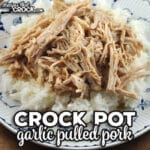 This Garlic Crock Pot Pulled Pork recipe is incredibly easy and gives you mouthwatering flavor with fork tender pork. It is amazing!