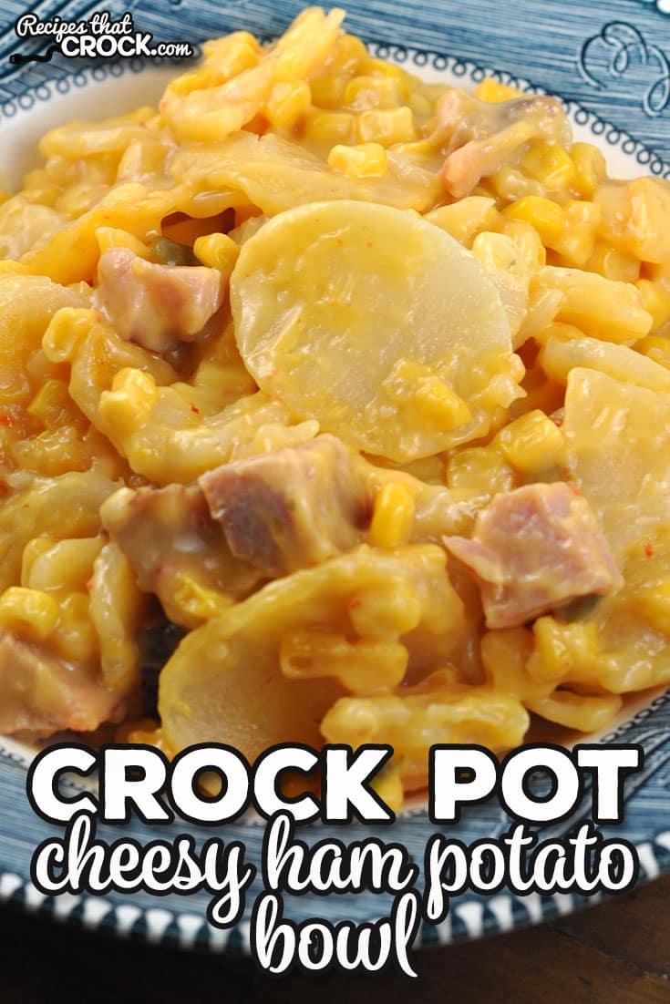This Cheesy Crock Pot Ham Potato Bowl is a one-pot meal that is so simple to throw together and tastes great! Even my picky eater gobbled this right up!
