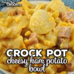 This Cheesy Crock Pot Ham Potato Bowl is a one-pot meal that is so simple to throw together and tastes great! Even my picky eater gobbled this right up!