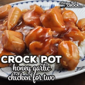 This Honey Garlic Crock Pot Chicken with Rice for Two is easy to prep, cooks quickly and tastes delicious. What more could you want?!