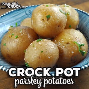 How does a delicious side dish that is easy to make sound? Pretty good, right?! Check out these Parsley Crock Pot Potatoes. Oh. My. Yum.