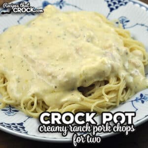 If you need an easy recipe to throw in the slow cooker, check out this Creamy Ranch Crock Pot Pork Chops for Two recipe.
