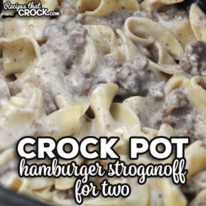 If you are looking for some delicious comfort food with two servings, I highly recommend checking out this Crock Pot Hamburger Stroganoff for Two.