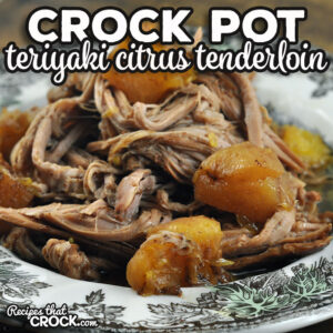 If you are in the mood for a delicious pork tenderloin that is easy to throw together, check out this Teriyaki Citrus Crock Pot Tenderloin.