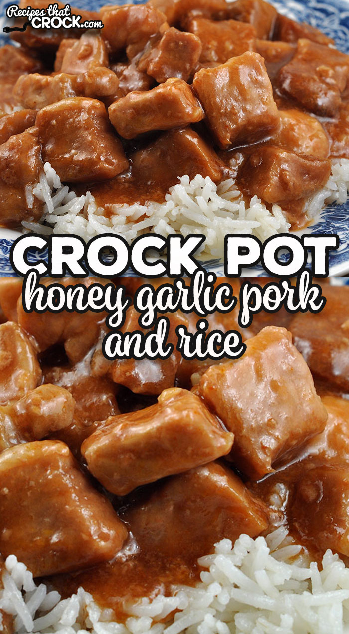 This Crock Pot Honey Garlic Pork and Rice recipe is so delicious that it became an instant family favorite.