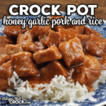 This Crock Pot Honey Garlic Pork and Rice recipe is so delicious that it became an instant family favorite.