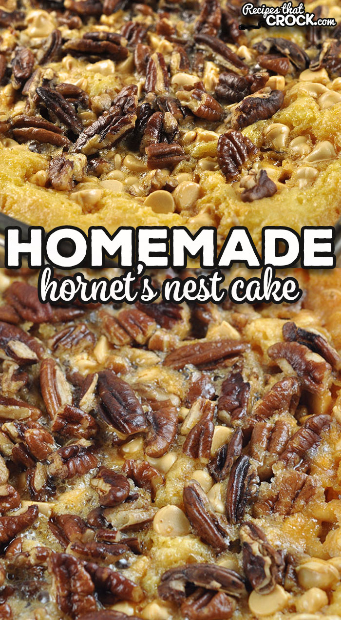 If you love an easy to make and delicious cake, check out this Homemade Hornet’s Nest Cake. It is always a hit.