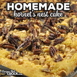 If you love an easy to make and delicious cake, check out this Homemade Hornet’s Nest Cake. It is always a hit.