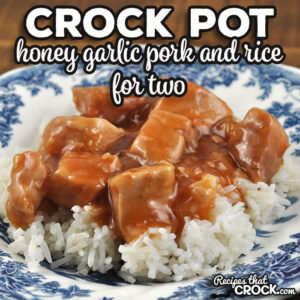 This Honey Garlic Crock Pot Pork and Rice for Two is absolutely delicious and easy to make. It is sure to be an instant favorite.